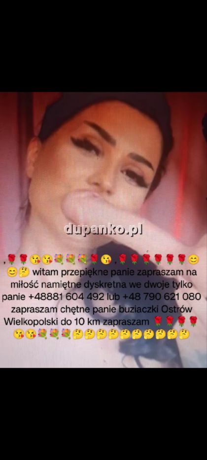 sexuspragniony, Ostrów Wielkopolski, wielkopolskie - sex anons zdjęcie nr 8