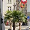 Golden-Girls, Warszawa, mazowieckie - erotische Anzeigen Foto nr 2