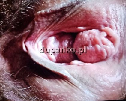 Dla uleglej, Poznań, wielkopolskie - sex anons zdjęcie nr 20