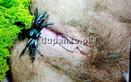 Dla uleglej, Poznań, wielkopolskie - sex anons zdjęcie nr 19