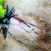 Dla uleglej, Poznań, wielkopolskie - sex anons zdjęcie nr 19
