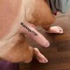 Bartek XL NURU Masaż, Poznań, wielkopolskie - sex anons zdjęcie nr 2