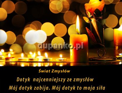 Lukasz.masażysta, Gdańsk, pomorskie - sex anons zdjęcie nr 9