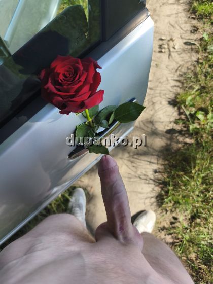 ZADBANY KUTAS DLA REALNEJ, Działoszyn, łódzkie - erotic offer photo nr 4