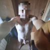 MS1993, Białystok, podlaskie - sex anons zdjęcie nr 4